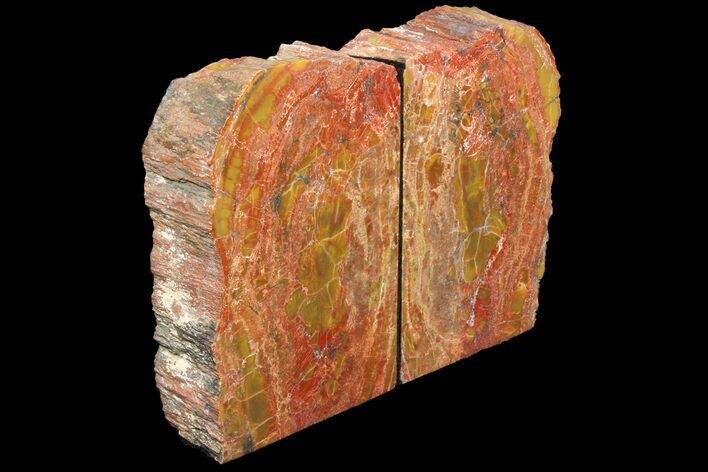 Tall, Arizona Petrified Wood Bookends - Red & Yellow #131795